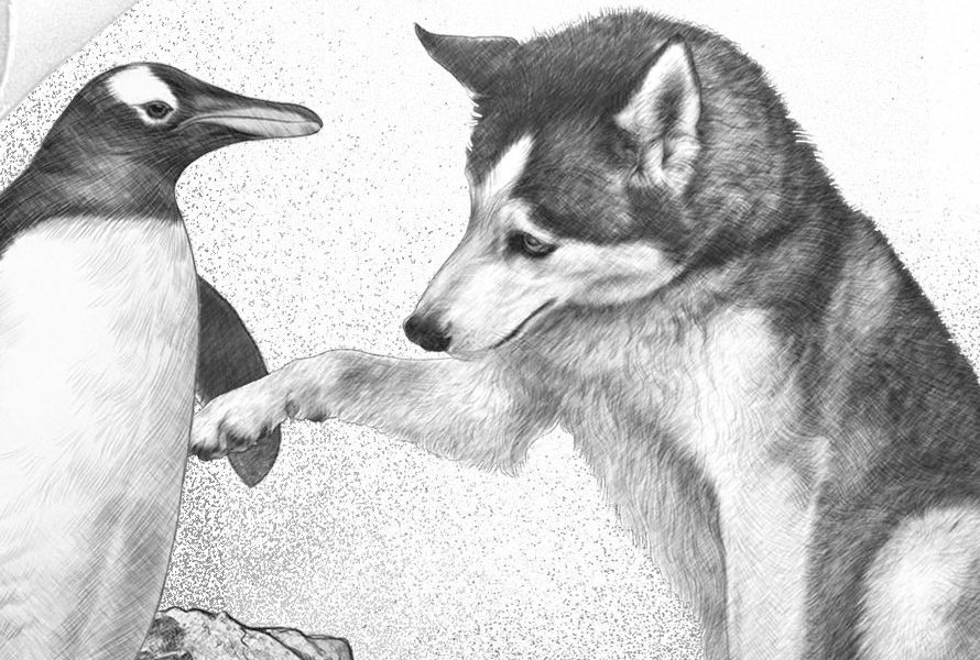 Илюстрация от книгата Приключенията на Пити на Антарктида от Издателство Таралеж